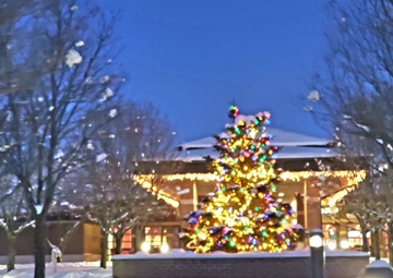 Photo Essay: 2022 Fort McCoy Christmas Tree