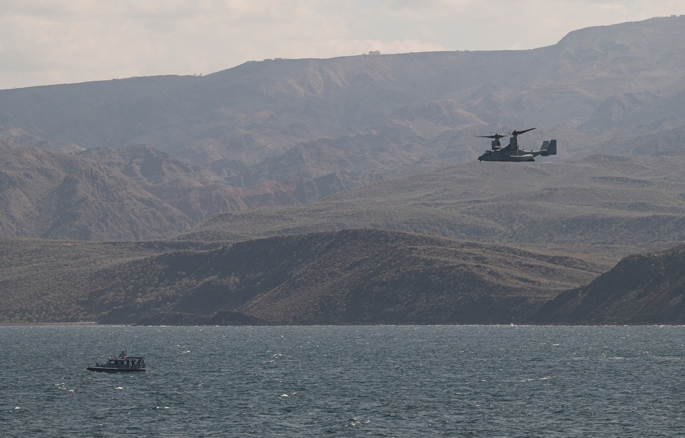 Exercise Bull Shark strengthens personnel recovery, interoperability between partners