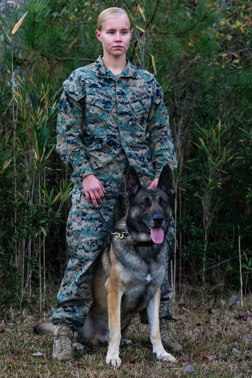 Make Ready: Military Working Dogs and their Handlers