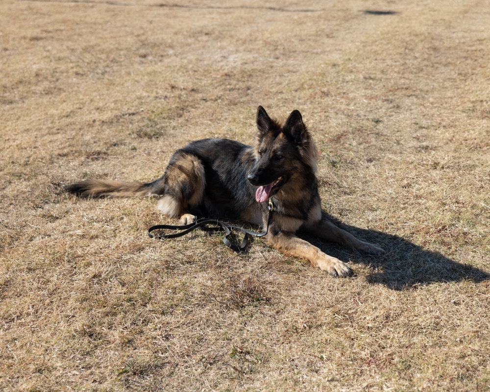 Friday Face: Cpl. Daniel Garber