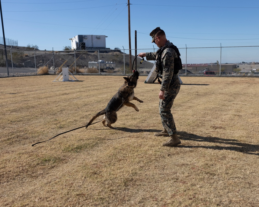 Friday Face: Cpl. Daniel Garber