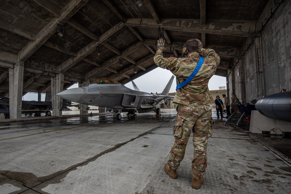 Raptors at the Ready