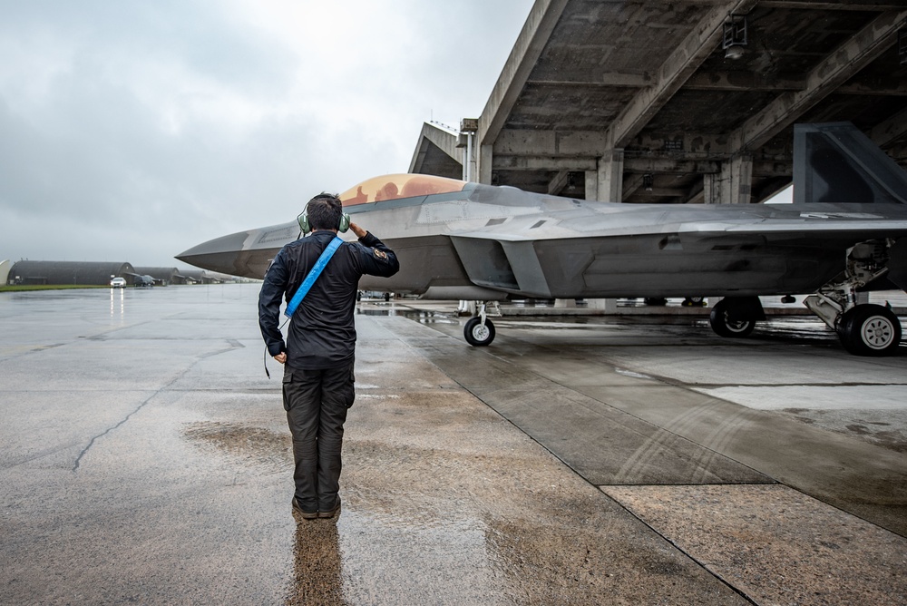 Raptors at the Ready