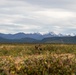 1st Recon Marines train in Alaska