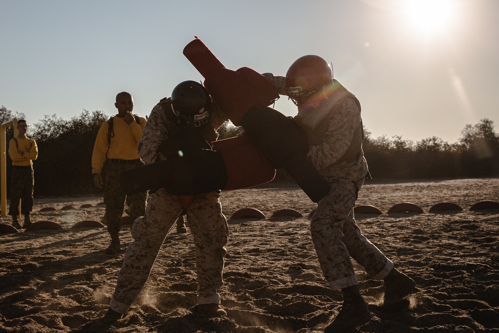 Hotel Company Pugil Sticks