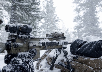 Dark Side Of The Cold