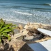 Daytona Beach Coastal Damage