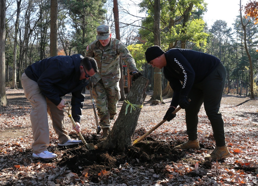 father and son digging ground in forest with shovels, ecology