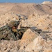 Alpha Company, 1st Battalion, 125th Infantry Regiment, 37th Infantry Brigade Combat Team, conducts range operations