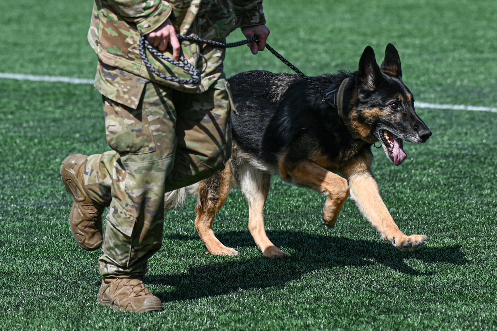 SFS retires military working dog