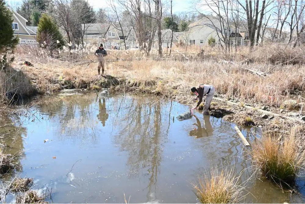 Amphibian habitat evaluation conducted at Hanscom