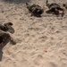 Military, Civilian officers compete in Defenders Challenge