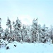 December 2022 snow scenes in Fort McCoy's Pine View Recreation Area