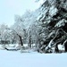 December 2022 snow scenes in Fort McCoy's Pine View Recreation Area