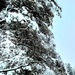 December 2022 snow scenes in Fort McCoy's Pine View Recreation Area