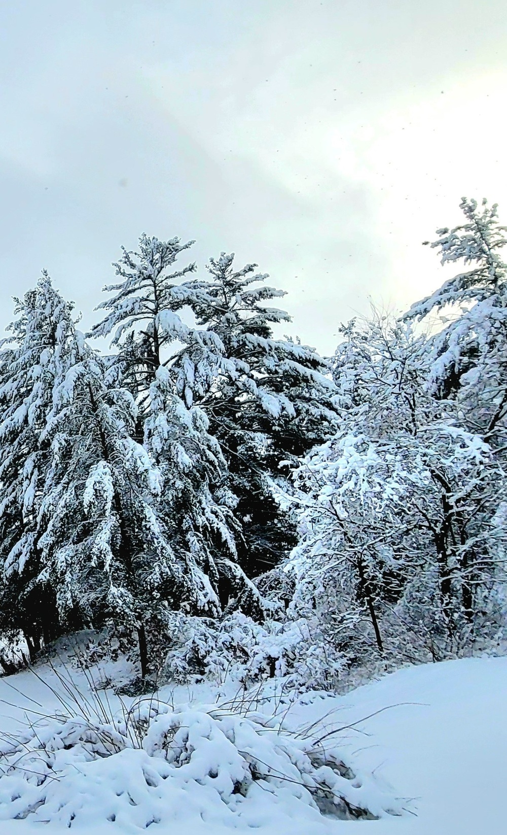 December 2022 snow scenes in Fort McCoy's Pine View Recreation Area