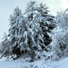 December 2022 snow scenes in Fort McCoy's Pine View Recreation Area