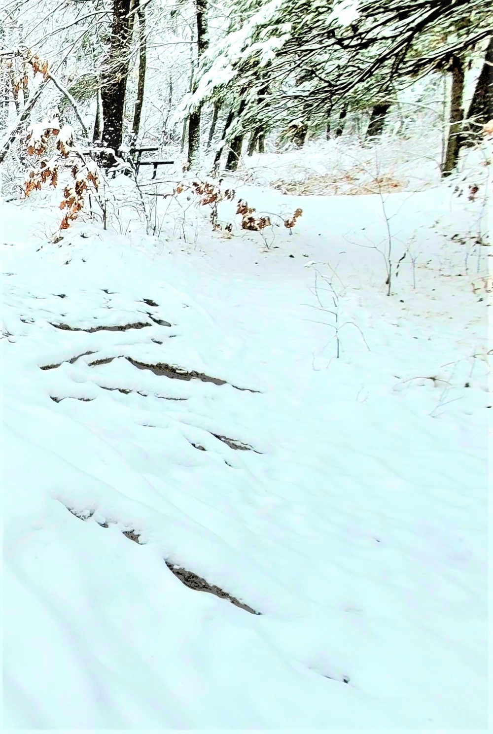 December 2022 snow scenes in Fort McCoy's Pine View Recreation Area