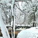 December 2022 snow scenes in Fort McCoy's Pine View Recreation Area