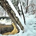 December 2022 snow scenes in Fort McCoy's Pine View Recreation Area