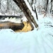 December 2022 snow scenes in Fort McCoy's Pine View Recreation Area