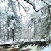 December 2022 snow scenes in Fort McCoy's Pine View Recreation Area