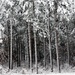 December 2022 snow scenes at Fort McCoy