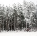 December 2022 snow scenes at Fort McCoy