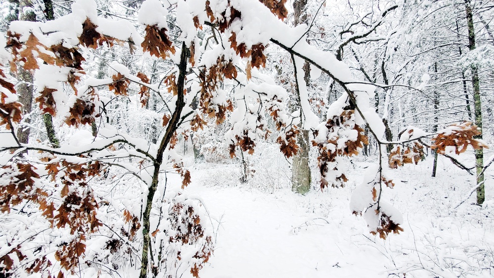 December 2022 snow scenes in Fort McCoy's Pine View Recreation Area