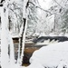December 2022 Snow Scenes at Trout Falls at Fort McCoy's Pine View Recreation Area