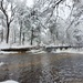 December 2022 Snow Scenes at Trout Falls at Fort McCoy's Pine View Recreation Area