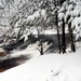 December 2022 Snow Scenes at Trout Falls at Fort McCoy's Pine View Recreation Area