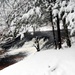 December 2022 Snow Scenes at Trout Falls at Fort McCoy's Pine View Recreation Area
