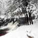 December 2022 Snow Scenes at Trout Falls at Fort McCoy's Pine View Recreation Area