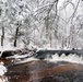 December 2022 Snow Scenes at Trout Falls at Fort McCoy's Pine View Recreation Area
