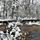 December 2022 Snow Scenes at Trout Falls at Fort McCoy's Pine View Recreation Area