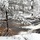 December 2022 Snow Scenes at Trout Falls at Fort McCoy's Pine View Recreation Area