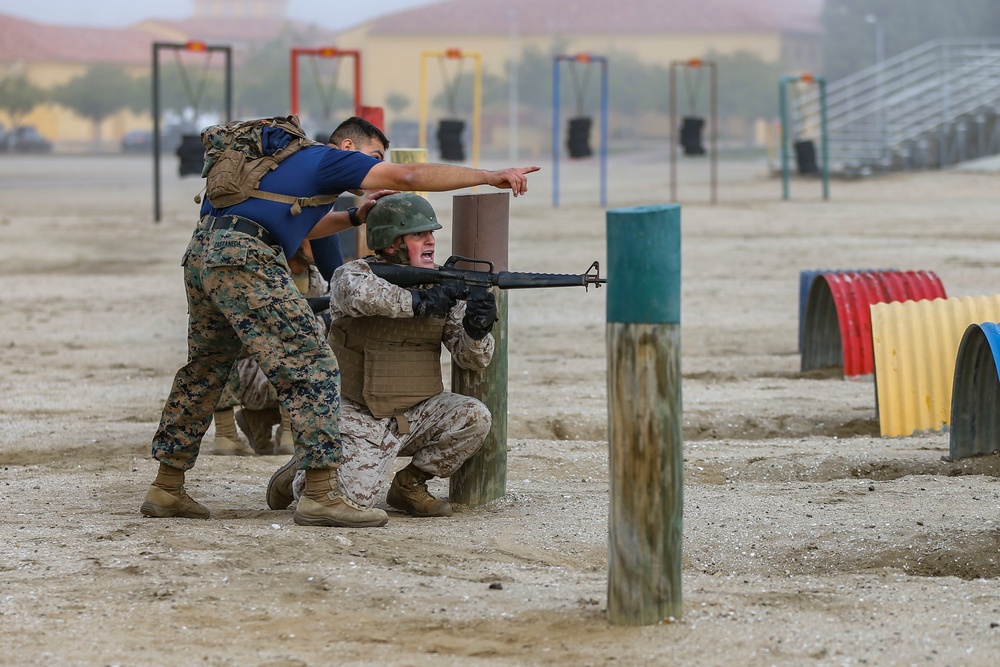 India Company Bayonet Assault Course