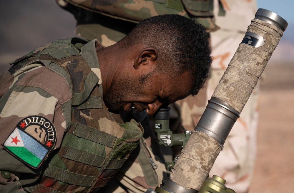 FAD BIR conduct mortar, mounted training with U.S. Army