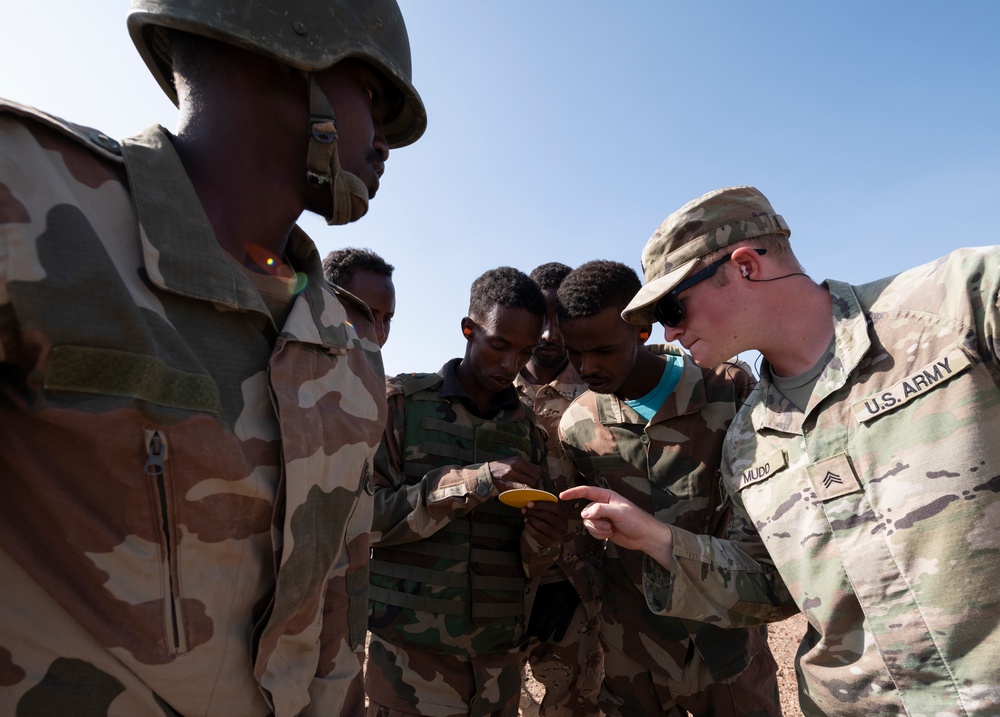 FAD BIR conduct mortar, mounted training with U.S. Army