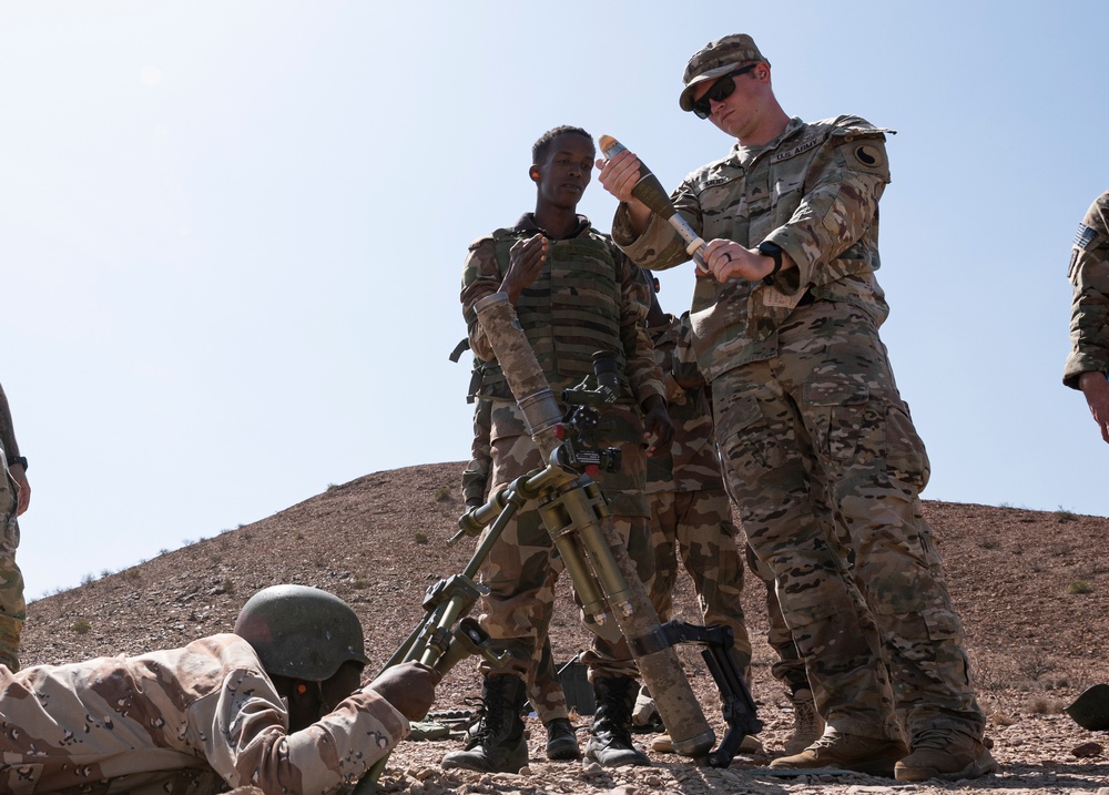 FAD BIR conduct mortar, mounted training with U.S. Army