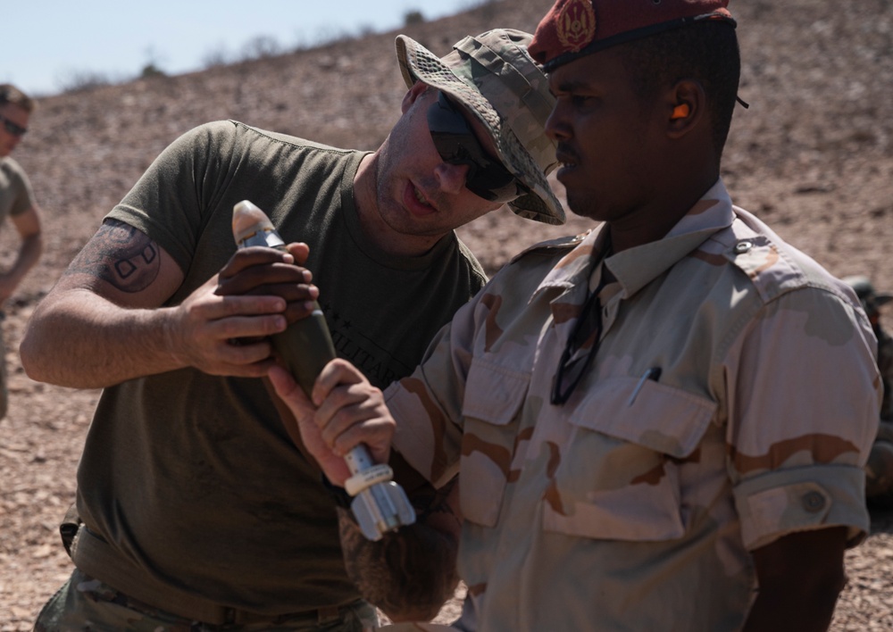 FAD BIR conduct mortar, mounted training with U.S. Army