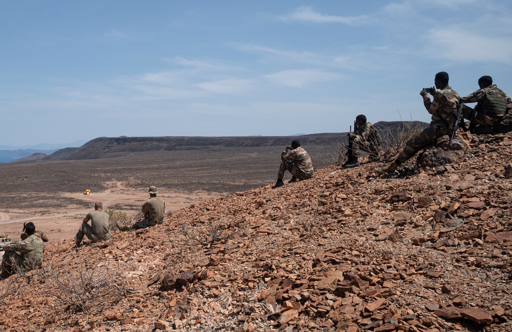 FAD BIR conduct mortar, mounted training with U.S. Army