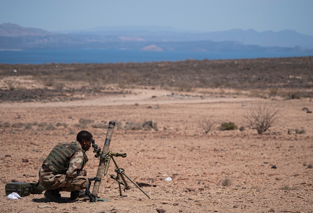 FAD BIR conduct mortar, mounted training with U.S. Army