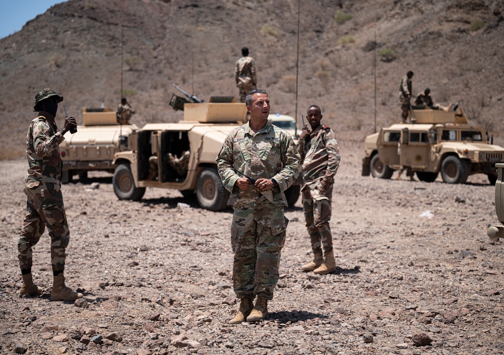 FAD BIR conduct mortar, mounted training with U.S. Army