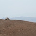 FAD BIR conduct mortar, mounted training with U.S. Army