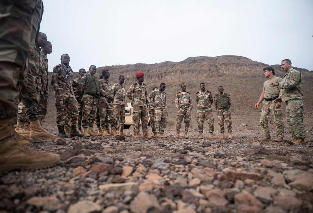 FAD BIR conduct mortar, mounted training with U.S. Army