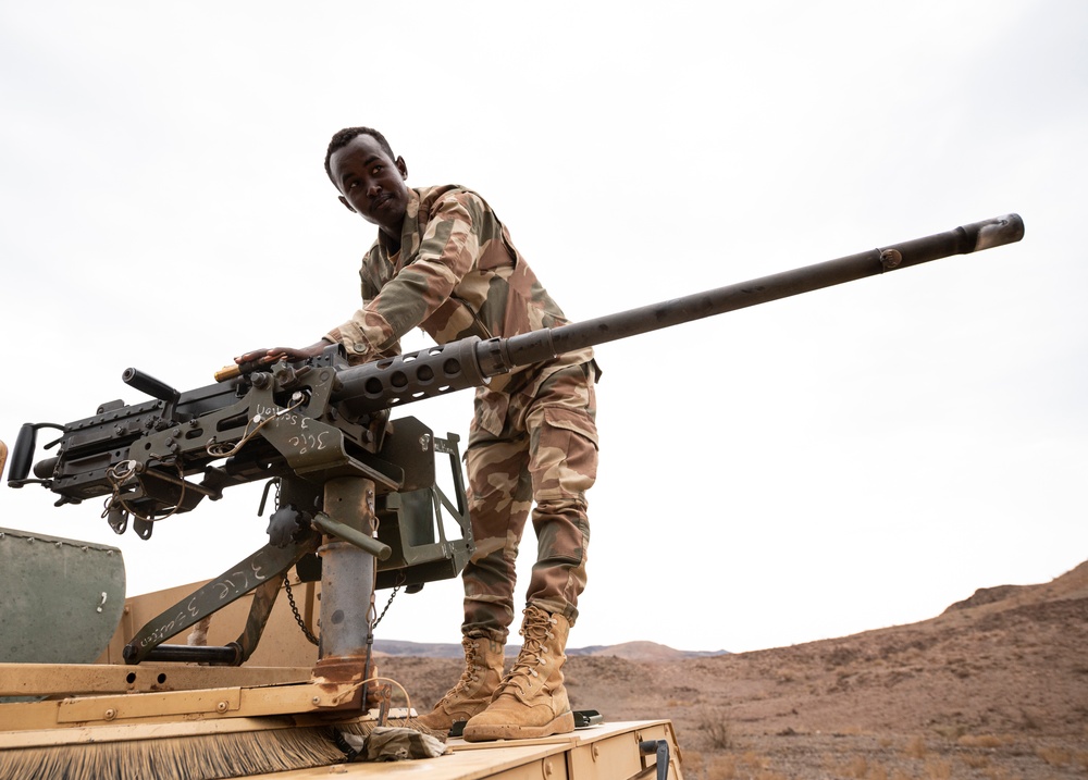 FAD BIR conduct mortar, mounted training with U.S. Army