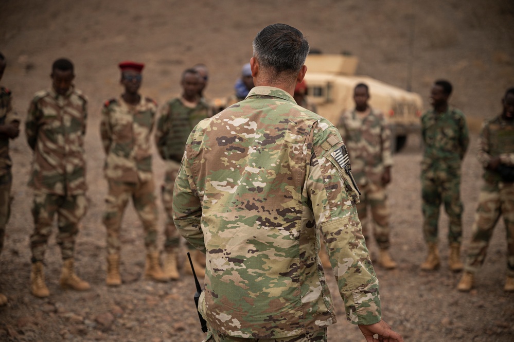 FAD BIR conduct mortar, mounted training with U.S. Army