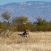 Multi Capable Airman Expeditionary Skills Training